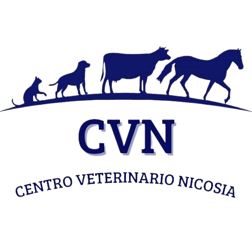 Centro Veterinario Nicosia